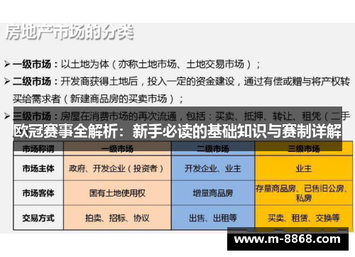 欧冠赛事全解析：新手必读的基础知识与赛制详解